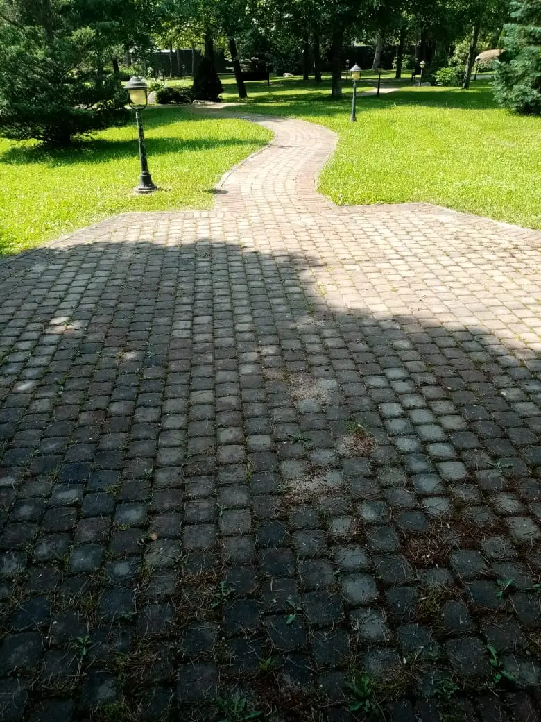 Площадка из тротуарной плитки под хозблок